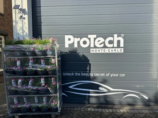 Ontvang nu gratis een leuk plantje cadeau voor in de tuin als u een afspraak maakt voor een ProTech premium wasbeurt! Deze actie is geldig tot de voorraad strekt! 🪴

We willen graag Andre den Drijver bedanken als Kweker!

Dankzij de ProTech Premium wasbeurt straalt jouw auto weer als nooit tevoren!

Vanaf 65,-

Afspraak maken? Neem nu contact op: 

📍 Honselersdijk
📞 0174 509 409
📧 westland@protech.mc

#ProTech #ProTechmc #MonteCarlo #Westland #Detailing #Cars #Automotive #Honselersdijk #Coating #Ceramiccoating #Spaforcars