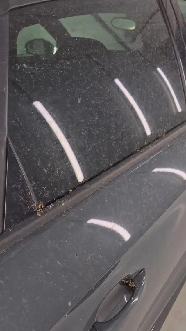 Even een kleine transformatie...
Van vies naar glimmend in drie stappen

#protechwestland #audilove #detailingtime #shinyagain